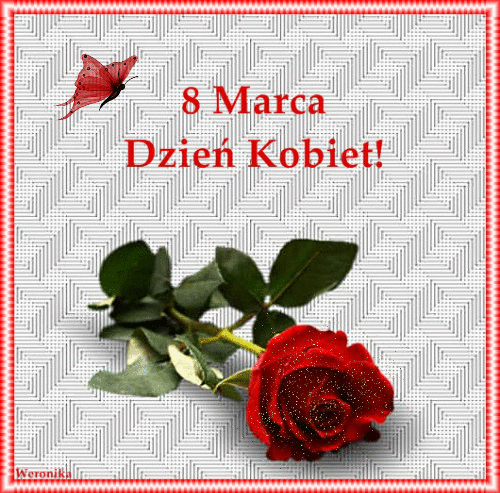 Czerwony motyl i róża na dzień kobiet